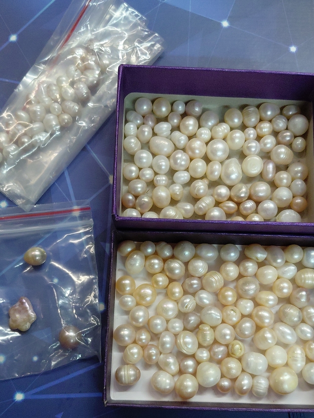 Loose Freshwater Pearls - Ivory/Champagne And Blush Tones